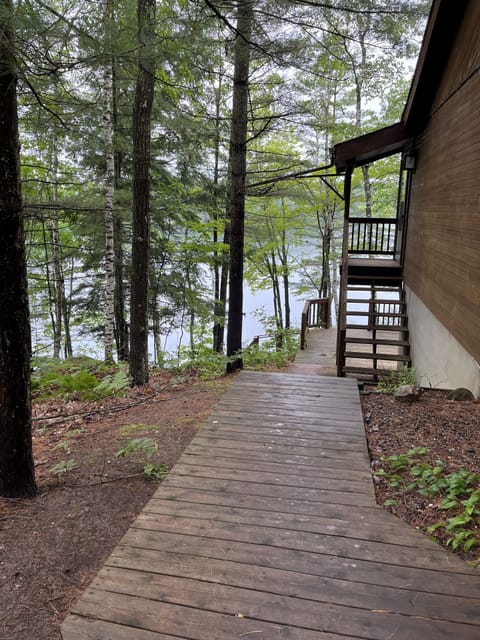Cabin view to the lake!