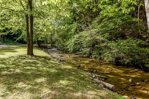 Water, Nature, Outdoors, Vegetation, Creek