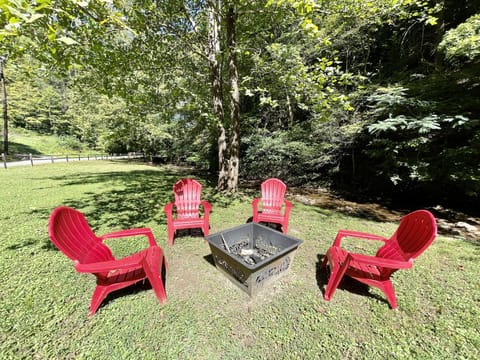 Furniture, Chair, Food, Grass, Yard