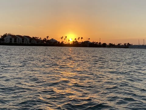 Welcome to paradise!