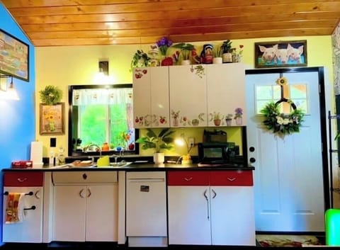 Youngstown metal cabinets were “the bomb” back in the day.  Dishwasher