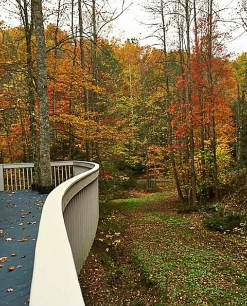 Misty Mountain Hop - Fall View