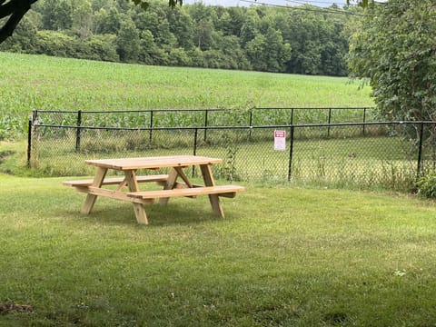 Large backyard for enjoyment.