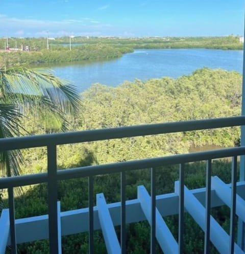 Beautiful protected Salt Ponds.