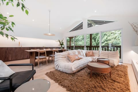 Living area: Electric fireplace