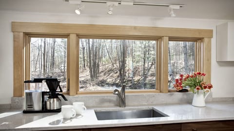 The kitchen window frames a view of the woods + stream (in early spring).