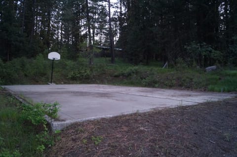Basketball court
