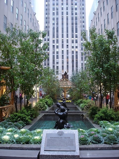 Wander through a serene courtyard oasis in the city.