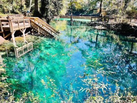 blue spring, 15 min from house 