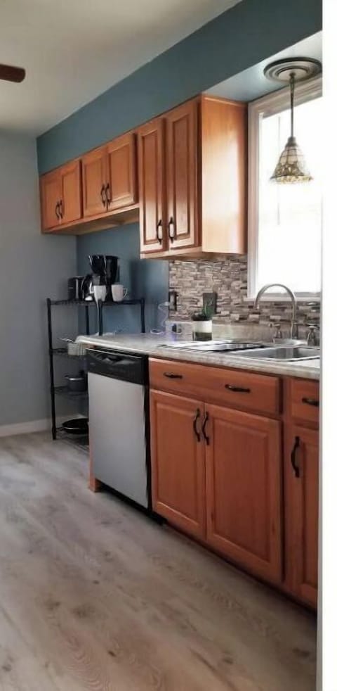 Kitchen sink and dishwasher