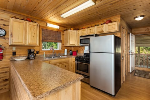 Kitchen with Cabin Conveniences