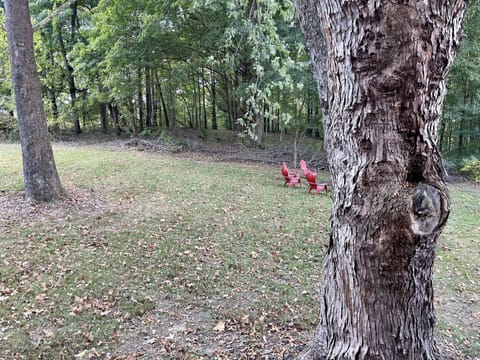 The back yard with fire pit