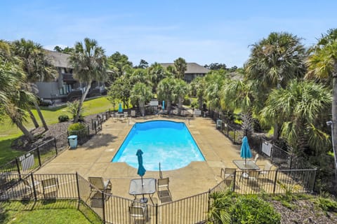 Resort & Oasis style Pool at the condo complex!