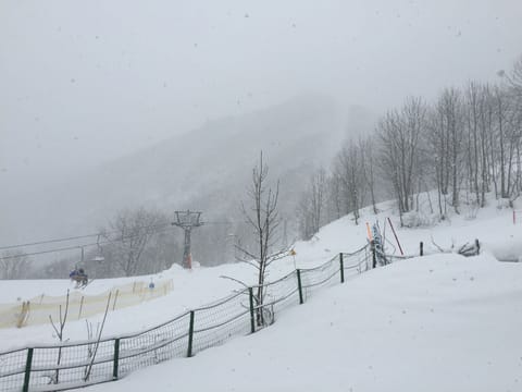 Snow and ski sports