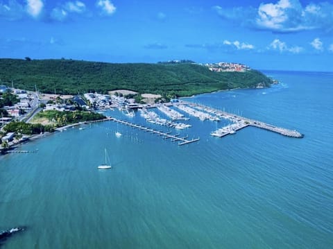 Marina