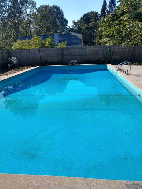 Heated pool 20 x 40 lovely marine blue color ....water reflexing the trees