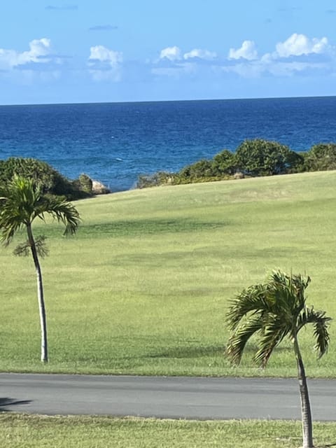 View From The Screened In Porch and Outdoor Dining Area
