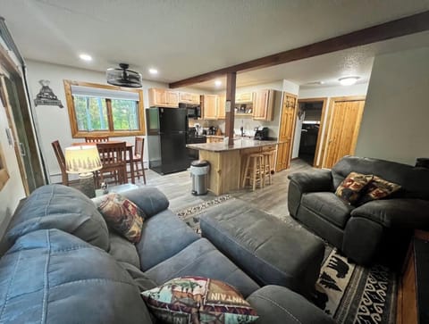 Living room and kitchen area
