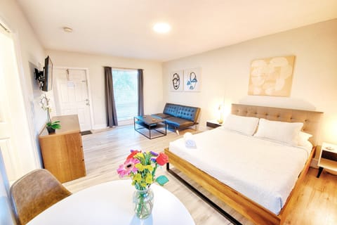 Welcome to your spacious, bright studio with a queen bed, twin sofa bed, and full kitchen.