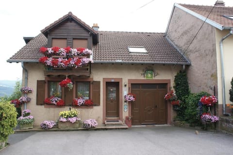 Front view