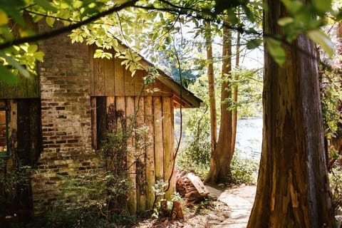 Private pathway to cabin