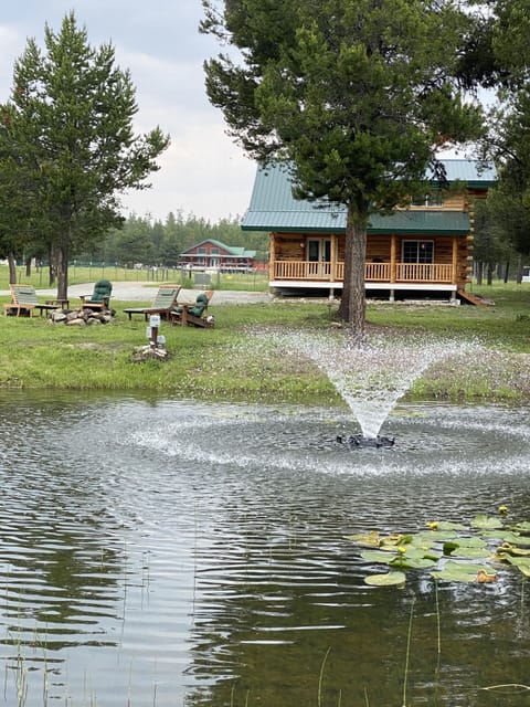 Welcome to Judy’ Jewel at the Crazy AS Ranch