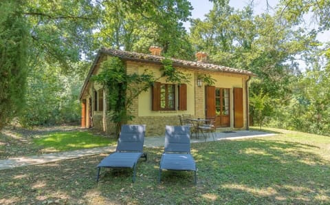 Plant, Building, Window, Tree, Shade, House, Land Lot, Leisure, Door, Public Space
