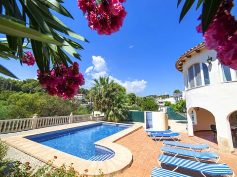 Sky, Plant, Water, Daytime, Property, Cloud, Swimming Pool, Azure, Flower, Blue
