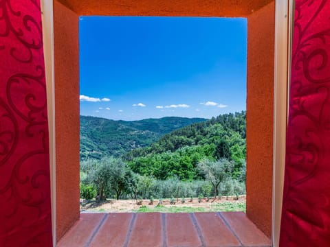 Sky, Property, Plant, Light, Nature, Azure, Rectangle, Wood, Cloud, Architecture