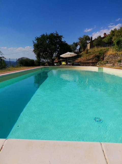 Water, Sky, Swimming Pool, Tree, Plant, Rectangle, Natural Landscape, Shade, Grass, Table