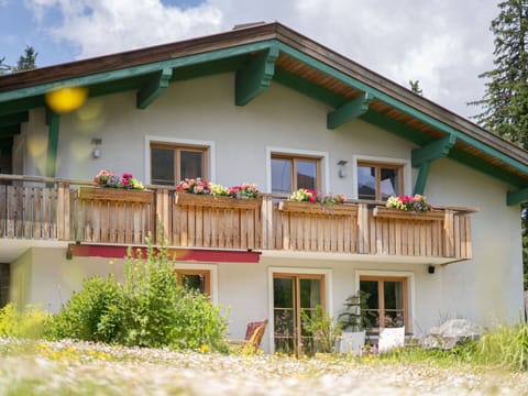 Plant, Building, Cloud, Property, Window, Sky, House, Land Lot, Yellow, Cottage