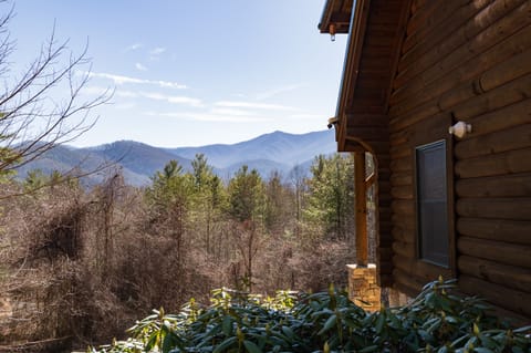 Side view of cabin showing winter in the mountains.