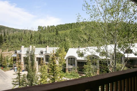 Tree, Fir, Nature, Outdoors, Scenery