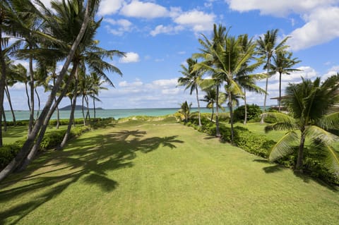 Immerse yourself in the natural beauty of the island right in your backyard.