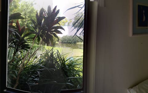 direct view of lake from studio