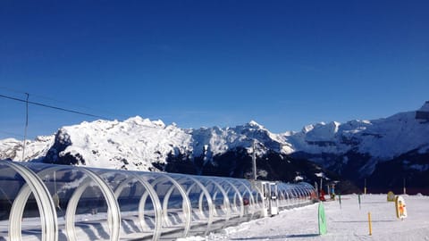Snow and ski sports