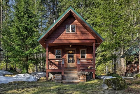 "Mini #3" is the most family-friendly cabin on the SkyCamp property