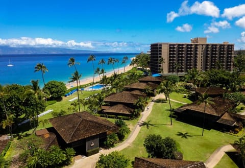 Soak up panoramic beachfront views and lush tropical resort grounds.