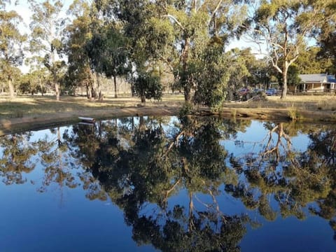 The main dam on entry driveway