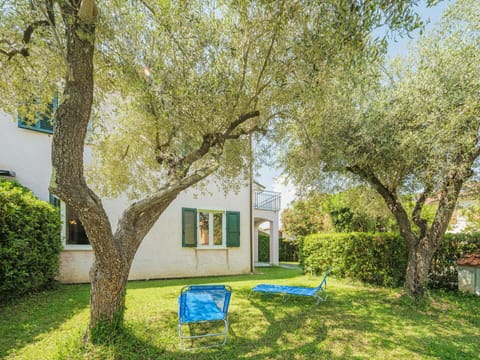 Plant, Property, Building, Tree, Shade, Natural Landscape, Branch, Land Lot, House, Grass