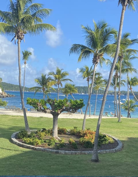 View of our beach from beachside patio