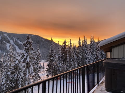 View from the deck/hot tub 