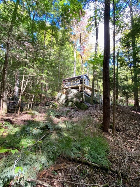 Experience a one-of-a-kind stay in our charming cottage, perched atop breathtaking boulders that create a stunning natural landscape.