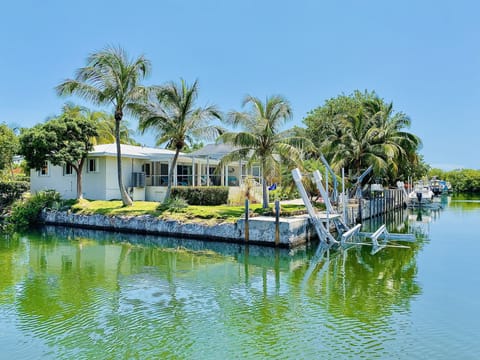 Canal side view of the home showing the ample dockage and water access.