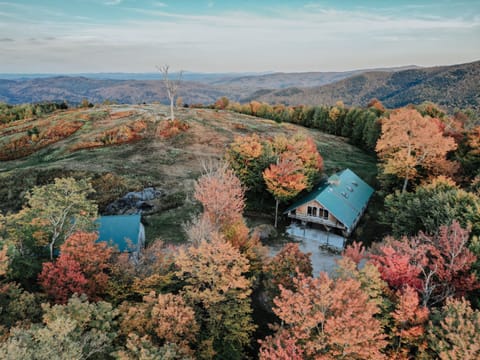 Designer chalet nestled in the trees for a unique off-grid experience.