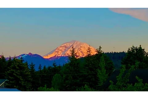 Mount Rainier from the back yard.