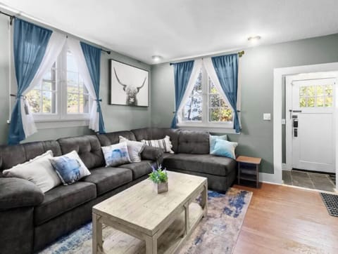 Living room with a Gueen sleeper in couch.