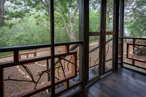 Perfect view for bird watching (binoculars and bird identification book provided!)