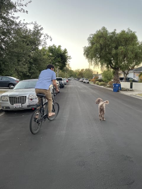 Neighborhood Street