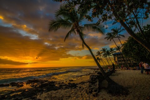 Popular surf, swim and snorkel spot, Honl's, steps away from C4